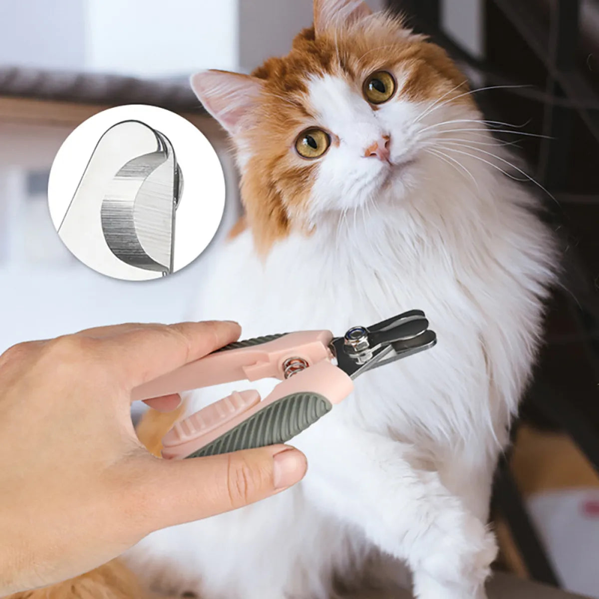 Professional Dog & Cat Nail Clipper