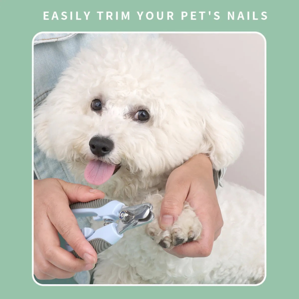 Professional Dog & Cat Nail Clipper