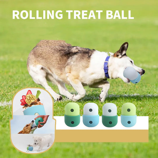 New 2-in-1 Dog Toy Ball